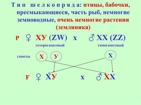 Генетические особенности определения пола