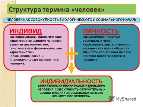 Генетические факторы и индивидуальные особенности