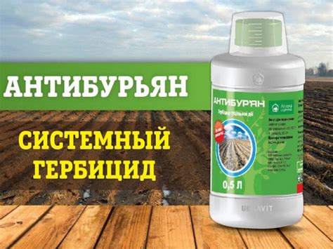 Гербициды и их роль в борьбе с сорняками