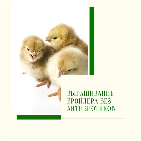 Гигиеничность и антибактериальные свойства