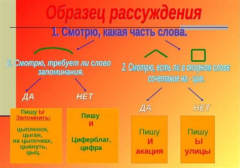 Глава 2. Что такое "ц" и почему оно пишется после и