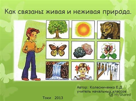 Глаголы как ключевые элементы в описании природы и окружающего мира