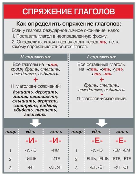 Глагол "класть" в русском языке: особенности и примеры использования