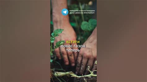 Гну груб больше не проблема: эффективные способы удаления