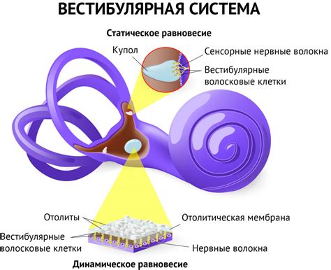 Головокружение и тошнота: важные причины