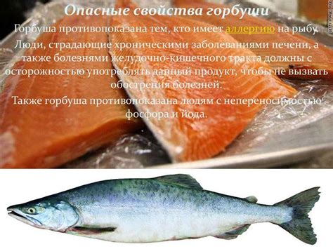 Горбуша и ее свойства для сагудая