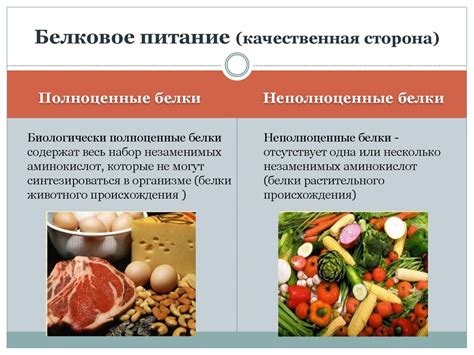 Горение жиров и углеводов: различия в обработке организмом