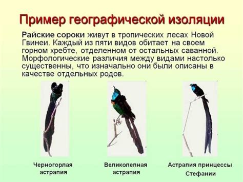 Горные барьеры