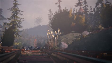 Графика и визуальный стиль игры Life is Strange 2 на андроид