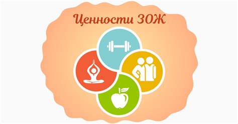 График и образ жизни