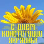 График работы в День Конституции