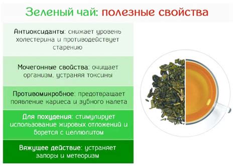 Грибы в зеленом чае: варианты подачи и сочетания