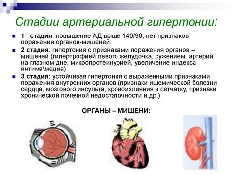 Грибы и гипертония: опасное сочетание