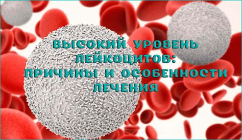 Грунт пон и его влияние на уровень лейкоцитов