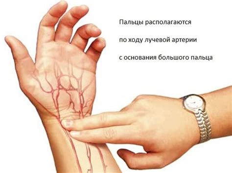 Давление по пульсу на руке и его значение