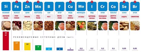 Действие алкоголя на микроэлементы в организме