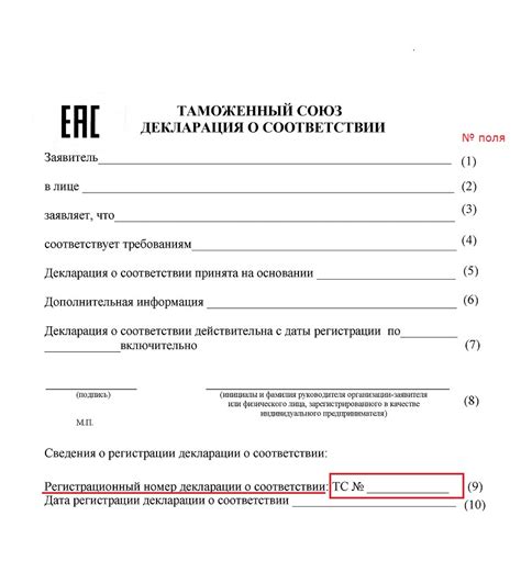 Действия после оформления декларации