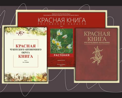 Детали и интересные моменты главы 22