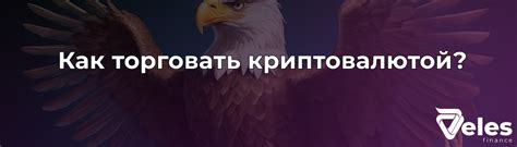 Детальная инструкция для новичков