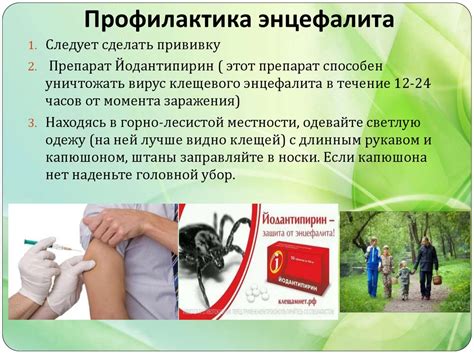 Диагностика клеща энцефалита: методы и исследования