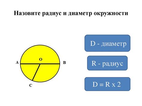 Диаметр и радиус круга: определяем понятия