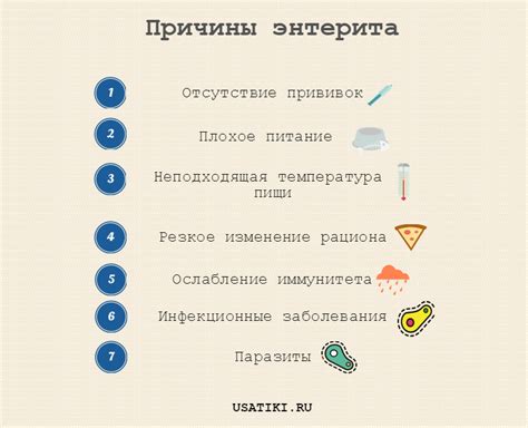 Диета при тошноте у собаки