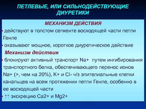 Диуретическое действие