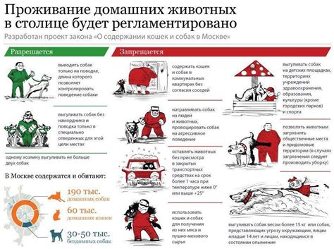 Длительность прогулок