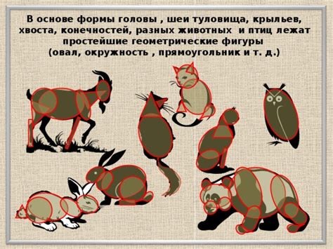 Добавление формы для головы и хвоста