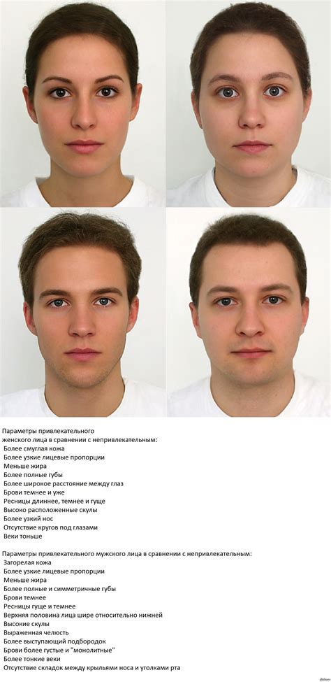 Добавляем черты лица
