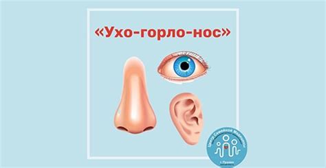 Добавьте детали на лице, такие как глаза, уши и нос