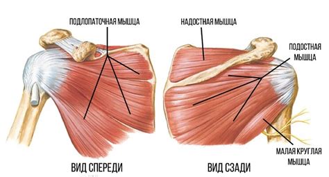 Доведение работы до конца: шея и манжеты