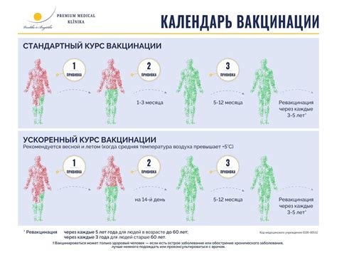 Дозировка и схема прививки от клещевого энцефалита: правила и рекомендации