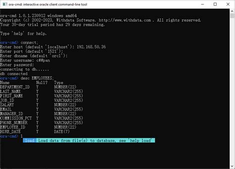 Дополнительные возможности Oracle CMD: