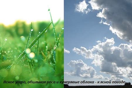 Дополнительные рекомендации для более ясной погоды