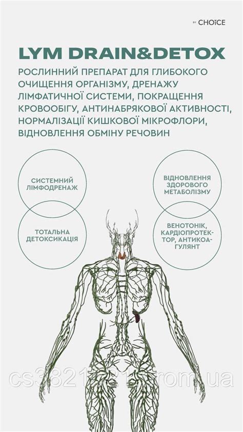 Дополнительные средства для повышения дренажа лимфатической системы