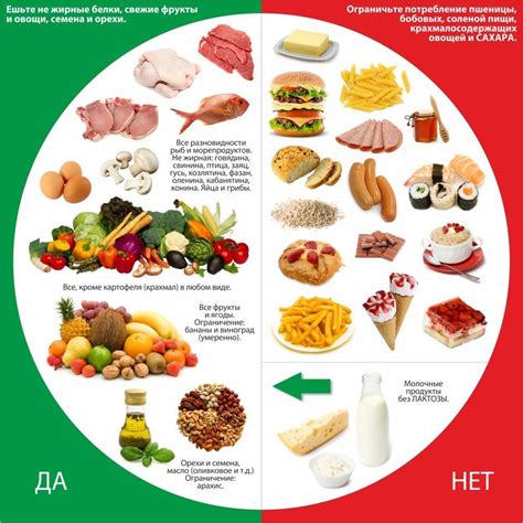 Допустимые продукты на диете Дюканова 16
