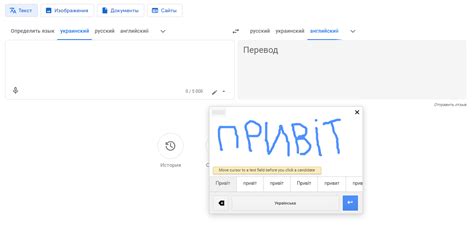 Доступные функции и возможности переводчика для кошек