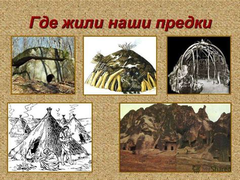 Древние культуры и использование хилеров
