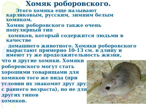 Другие методы определения возраста хомяка