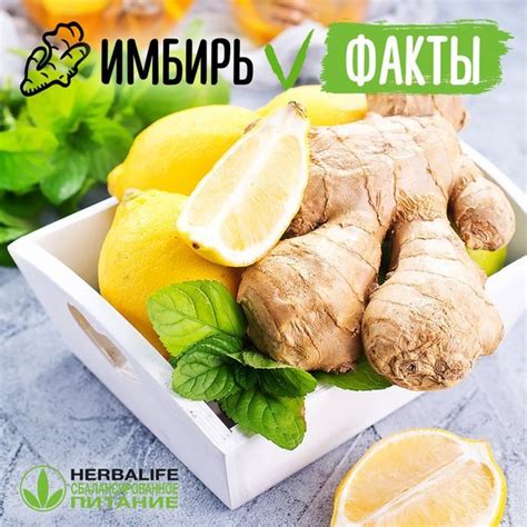 Другие полезные свойства имбиря