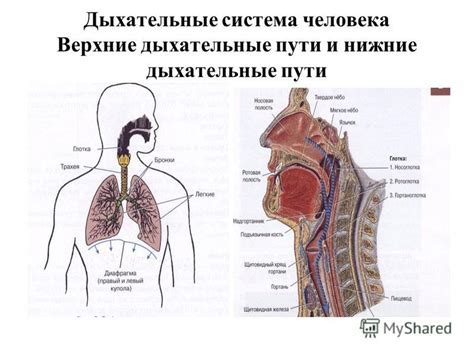 Дыхательные пути забиты