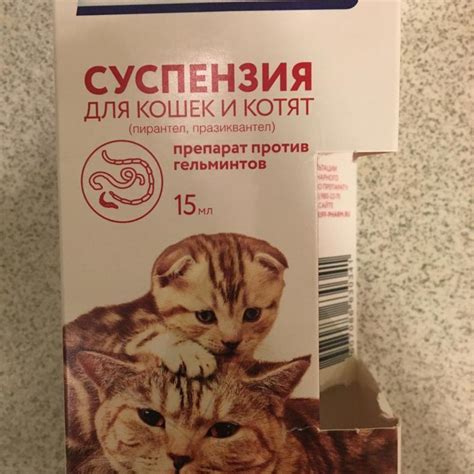 Естественные методы избавления кошки от глистов