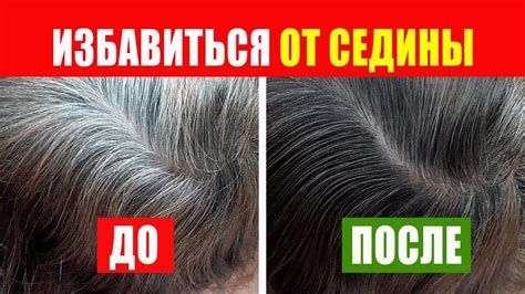 Естественные способы отделаться от седины