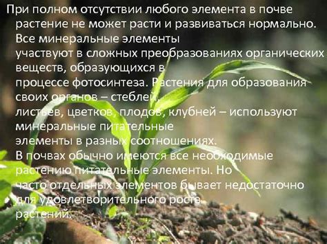 Естественный источник питательных элементов