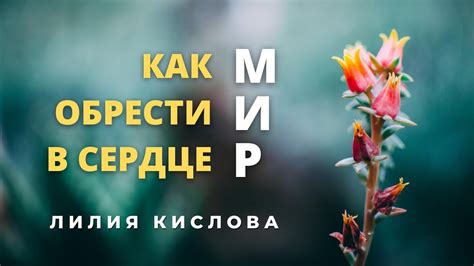 Желание обрести мир в сердце