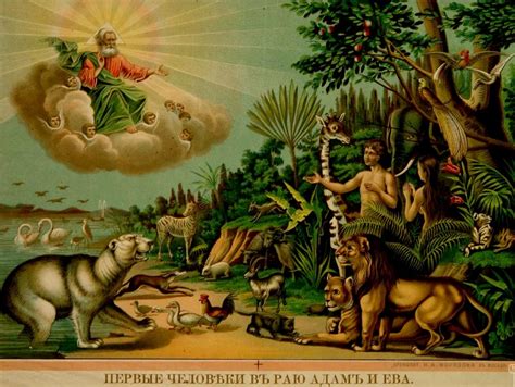 Жизнь Евы в небоскребах: история эльфийки