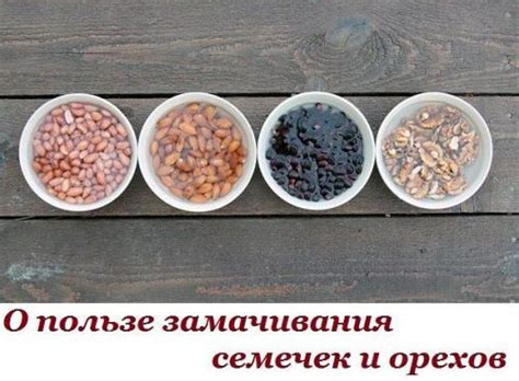 Заблуждения о вреде и пользе орехов и семечек