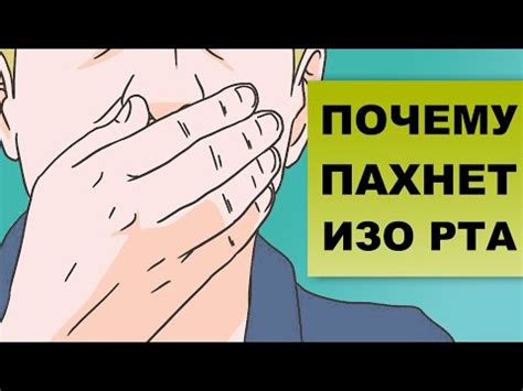 Заболевания и причины неприятного запаха газов у собаки