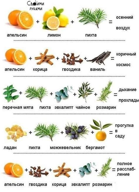 Завершаем работу и наслаждаемся результатом!